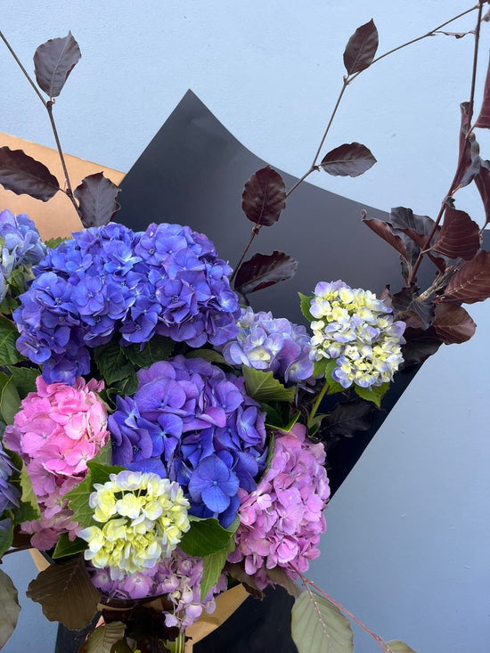 Stunning seasonal hydrangeas