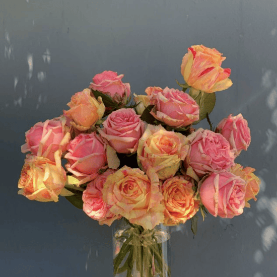 Summer Garden Roses Seasonal Special