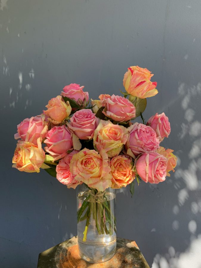 Garden roses spring summer seasonal special 1