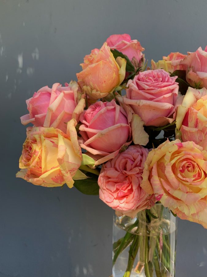 Garden roses spring summer seasonal special 2