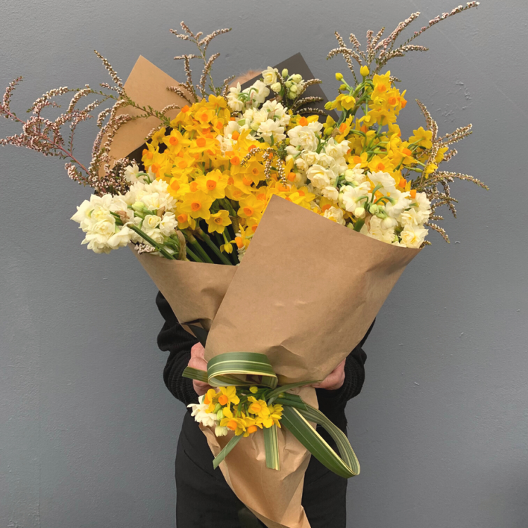 Special Jonquils