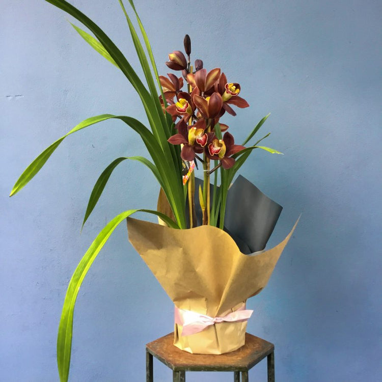 floraldecoratormothersday2022_005