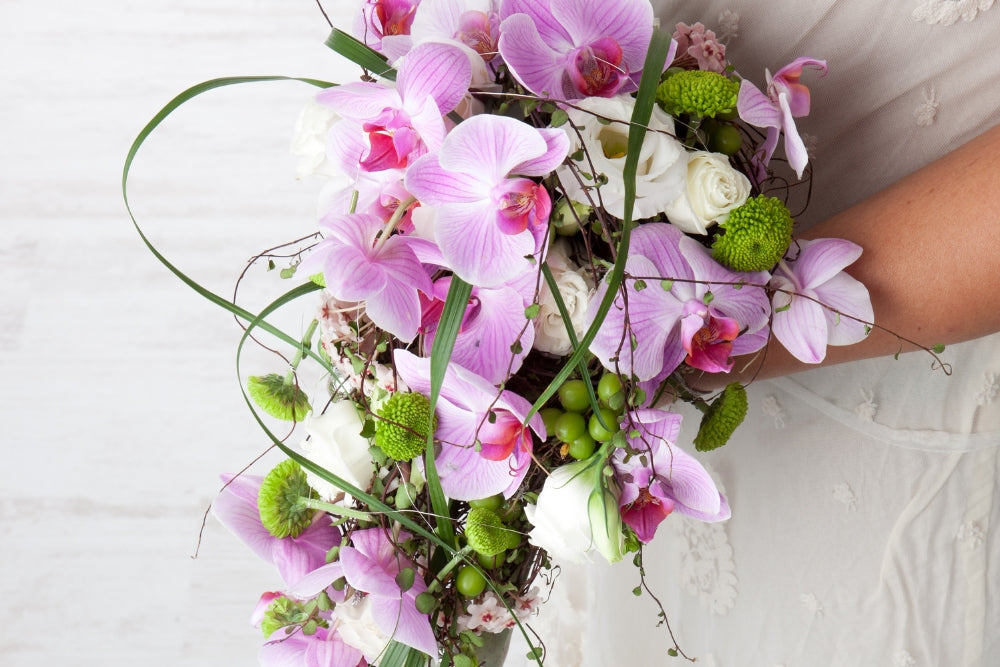 A beautiful cascading bouquet of flower, a popular choice for various occasions, symbolises love, appreciation, and celebration.