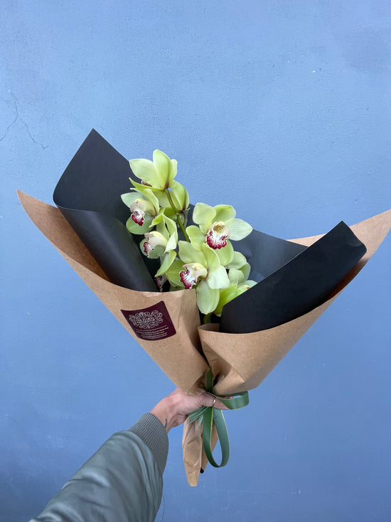 Cymbidium Orchid