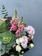 Garden Medley
