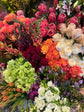 Spring Florist&