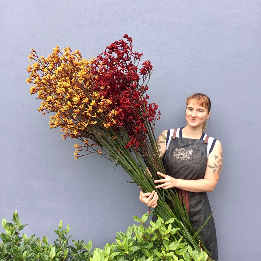 The FLoral decorator flowers in Sydney