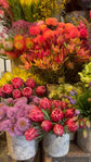 Spring Florist&
