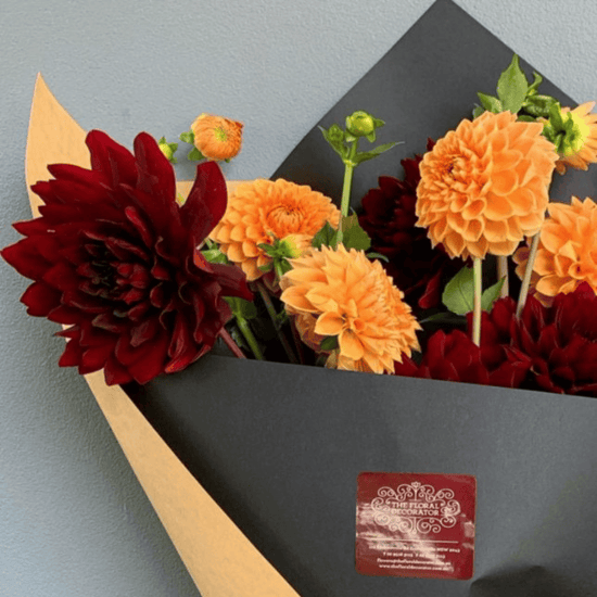 Dahlias Seasonal Special