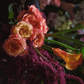 Florist&