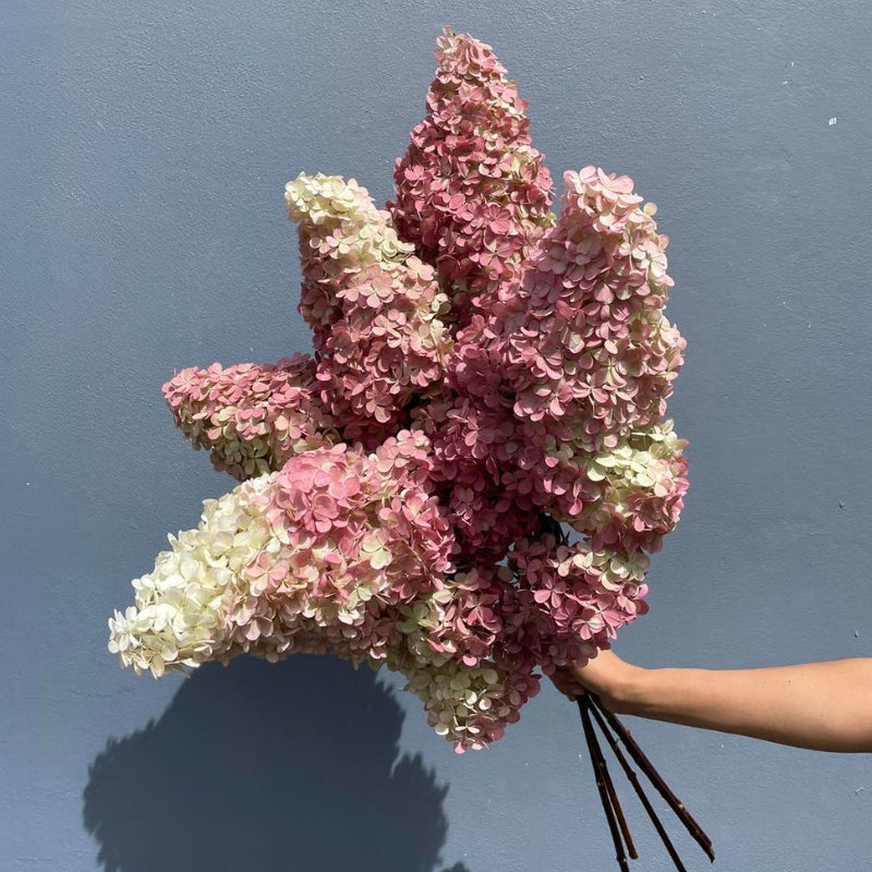 Florist Melrose Park NSW 2114 The Floral Decorator