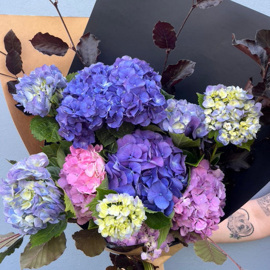 Stunning seasonal hydrangeas