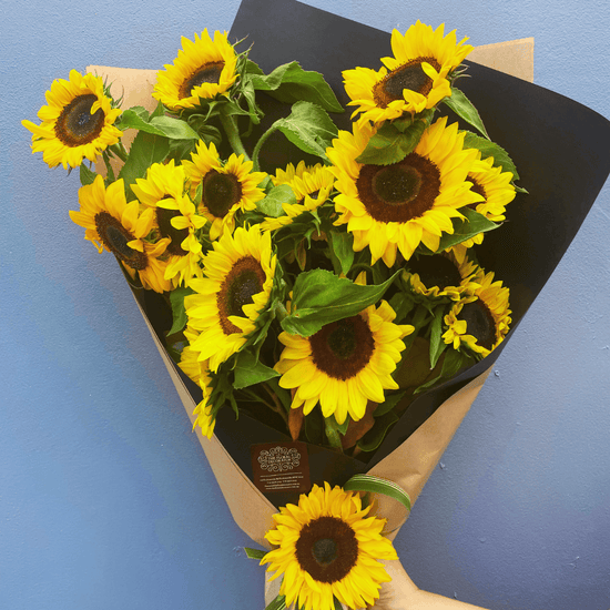 Sunflower Sunshine