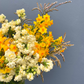 Special Jonquils