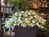 White floral casket spray 1